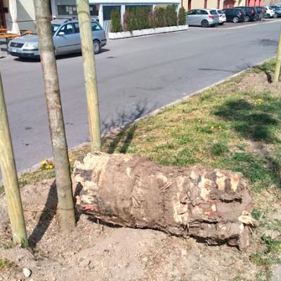 Bassanonet.it Licenziati in tronco