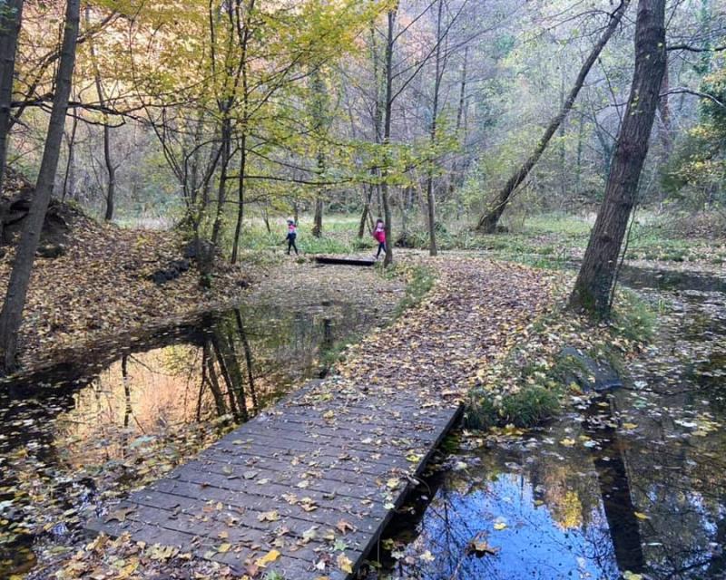 Bassanonet.it Da Marostica: Fino alla Luna