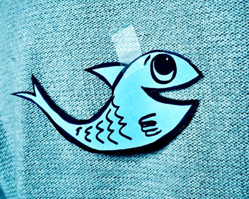 Bassanonet.it Fast Fish