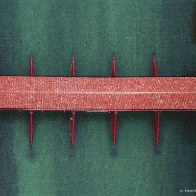 Bassanonet.it Giochiamo a Bridge