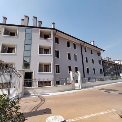 Bassanonet.it Rulla la Betulla