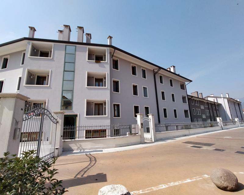 Bassanonet.it Rulla la Betulla