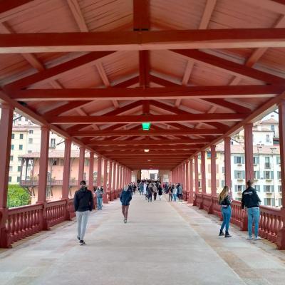 Bassanonet.it Apriti Sesamo