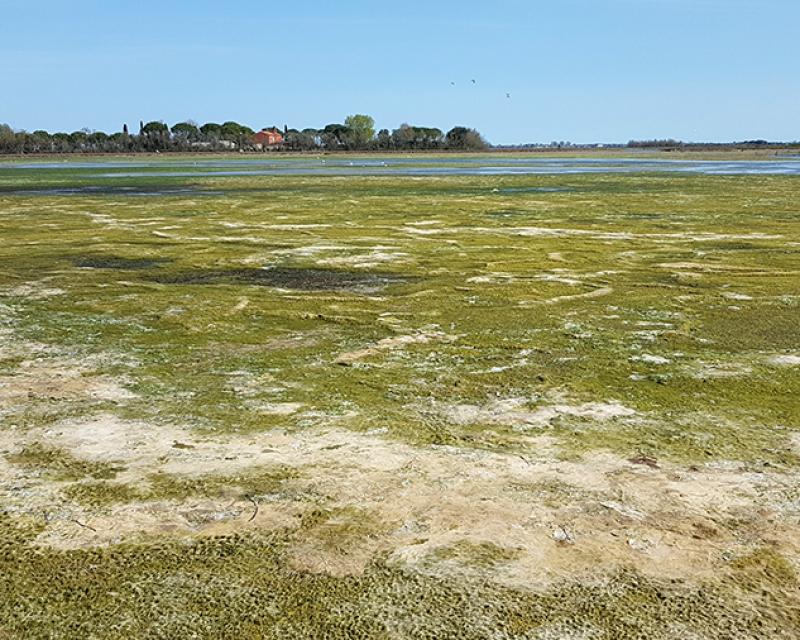 Bassanonet.it Modalità lettura 2 - n.6