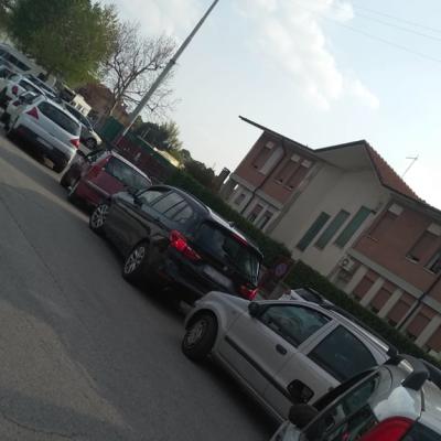 Bassanonet.it Il mercato dei due peri