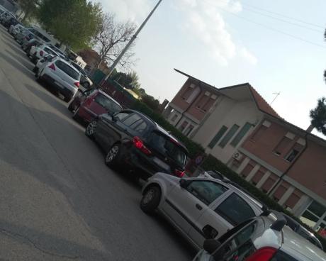 Bassanonet.it Il mercato dei due peri