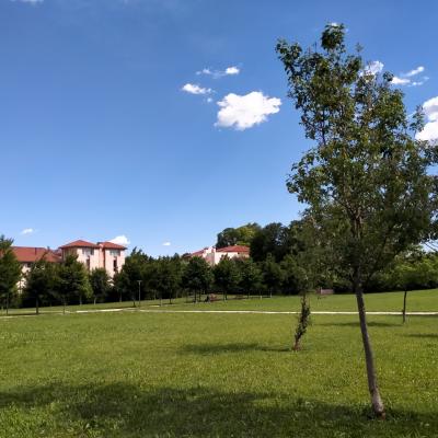 Bassanonet.it Meteo permettendo