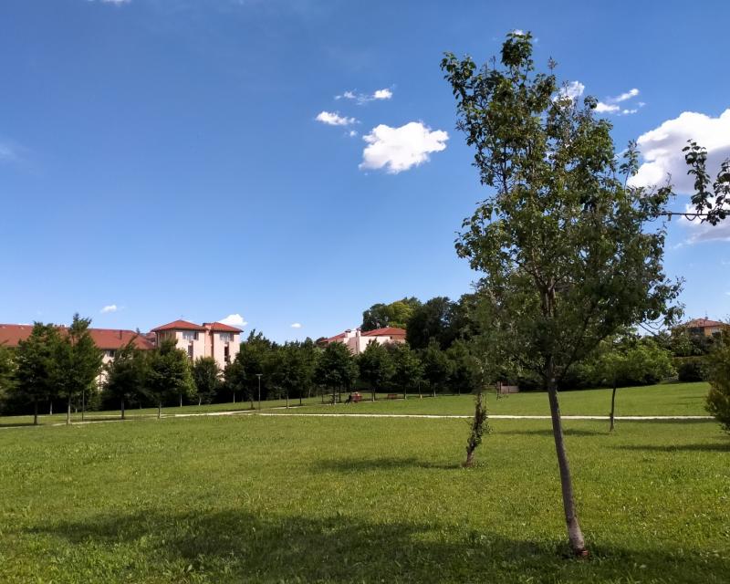 Bassanonet.it Meteo permettendo