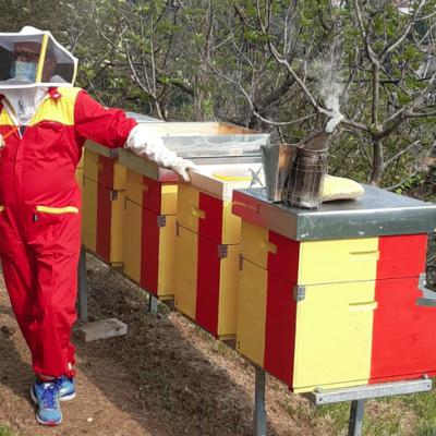 Bassanonet.it Ape...rò!