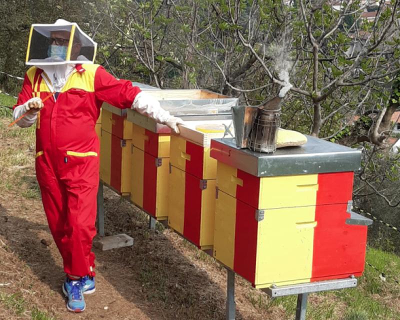 Bassanonet.it Ape...rò!