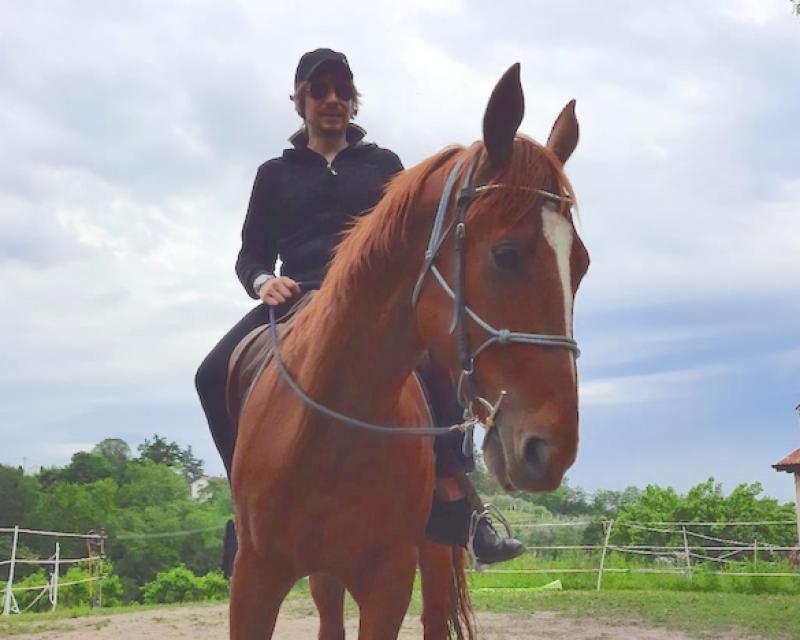 Bassanonet.it Il mio regno per un cavallo