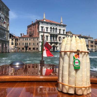 Bassanonet.it Il Doge Asparago