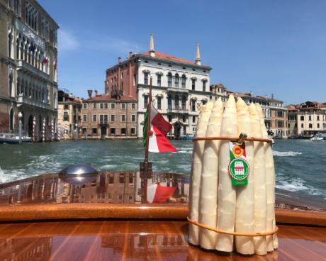 Bassanonet.it Il Doge Asparago