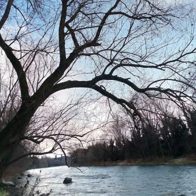 Bassanonet.it Malumori del Brenta