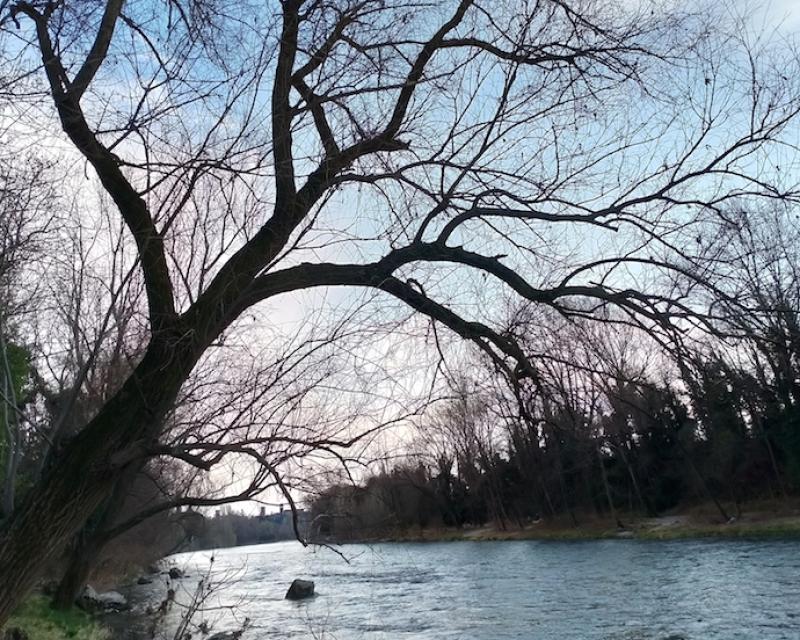 Bassanonet.it Malumori del Brenta