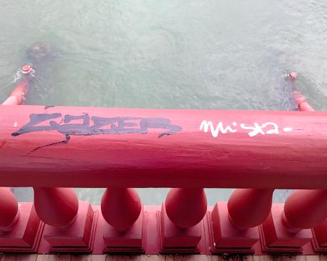 Bassanonet.it Penna capitale