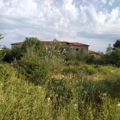 Bassanonet.it Mal di Mar