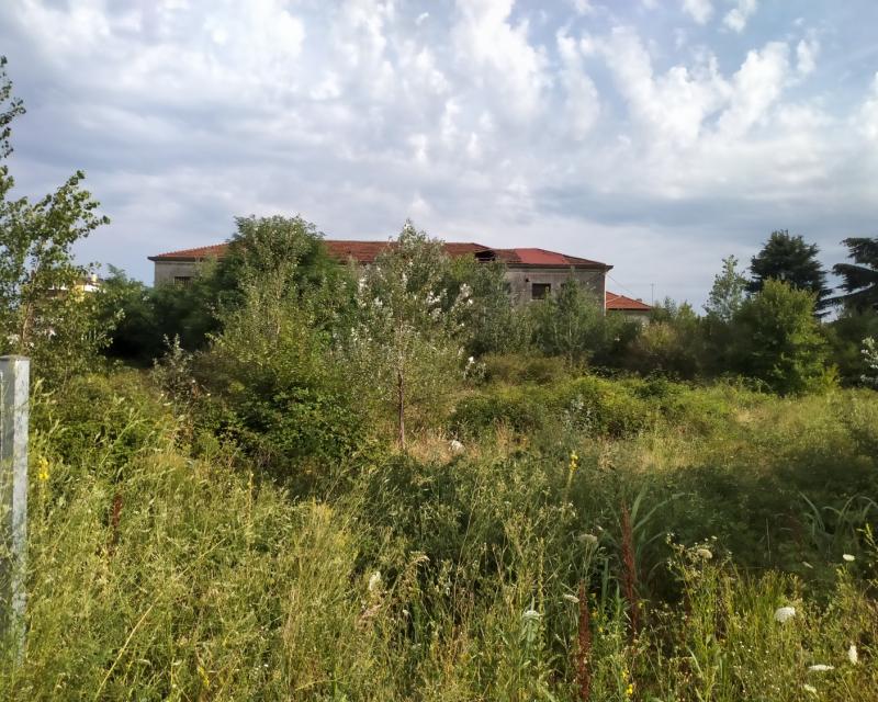 Bassanonet.it Mal di Mar