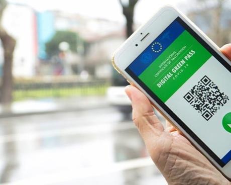 Bassanonet.it Green Niet