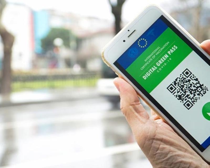 Bassanonet.it Green Niet