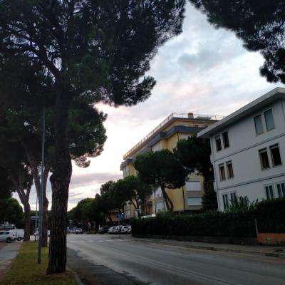 Bassanonet.it Quartier generale