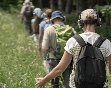 Bassanonet.it Colceresa si racconta, in modalità Silent Play