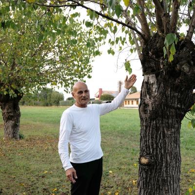 Bassanonet.it Il custode degli alberi secolari