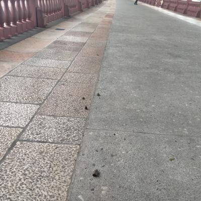 Bassanonet.it Veni, Vidi, Feci