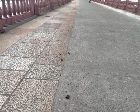 Bassanonet.it Veni, Vidi, Feci