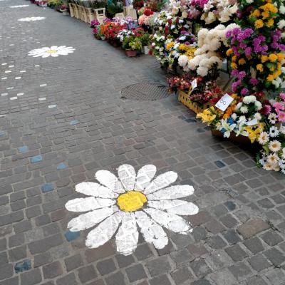 Bassanonet.it Figli dei fiori