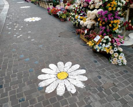 Bassanonet.it Figli dei fiori