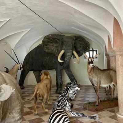 Bassanonet.it Ca’ ErizZoo