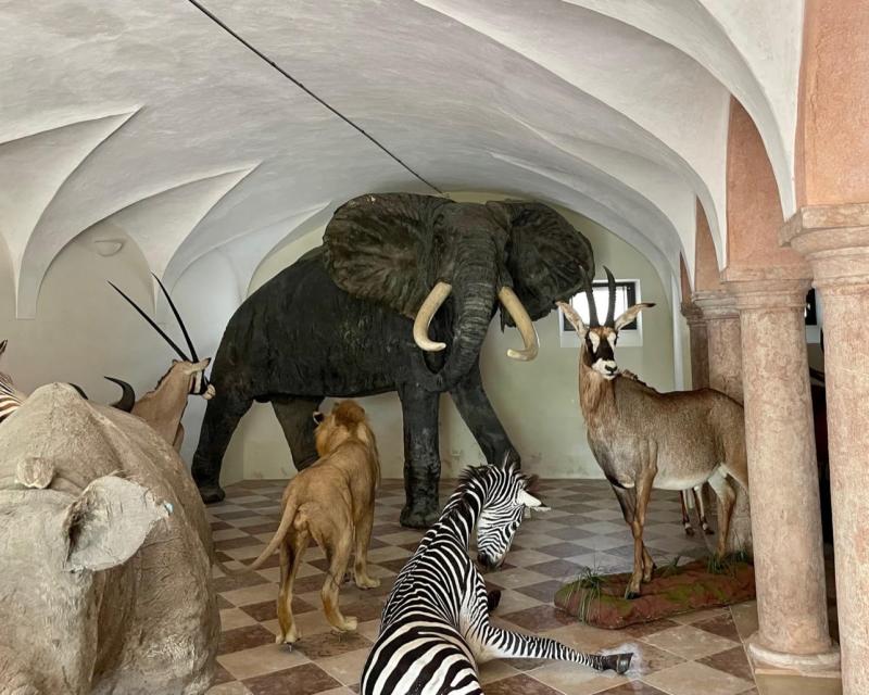 Bassanonet.it Ca’ ErizZoo