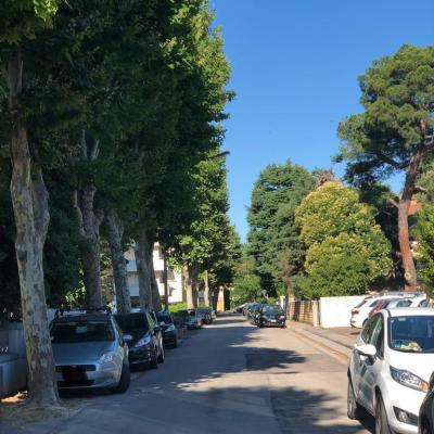 Bassanonet.it Notiziario da sfogliare