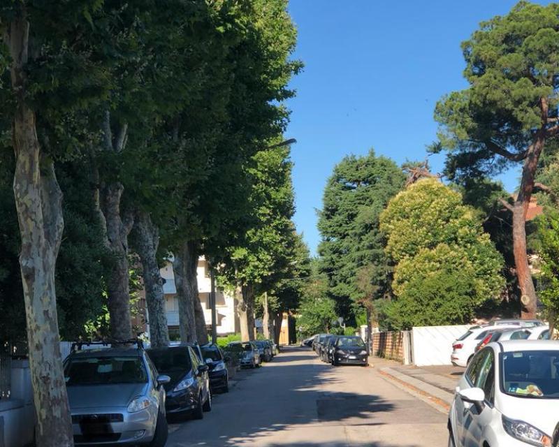 Bassanonet.it Notiziario da sfogliare