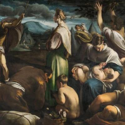 Bassanonet.it Caccia alle quaglie