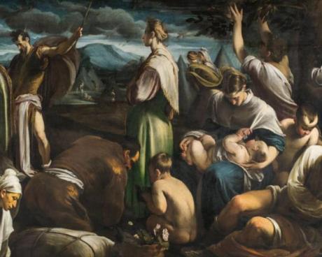 Bassanonet.it Caccia alle quaglie