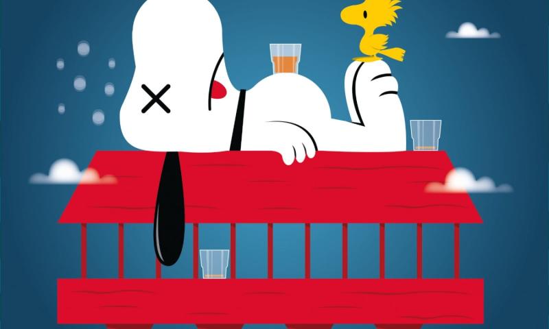 Bassanonet.it - Per gentile concessione: © AlePop/AgitKom 2016