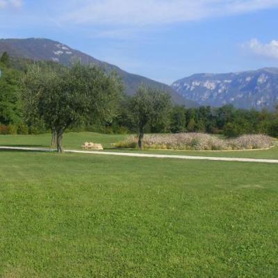 Bassanonet.it Doppio Brolo Star