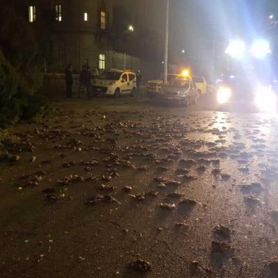 Bassanonet.it Botti per Capodanno: no grazie!