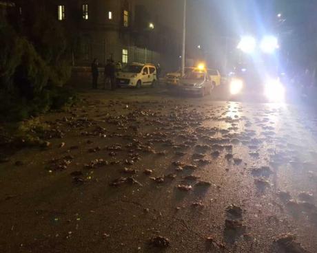 Bassanonet.it Botti per Capodanno: no grazie!