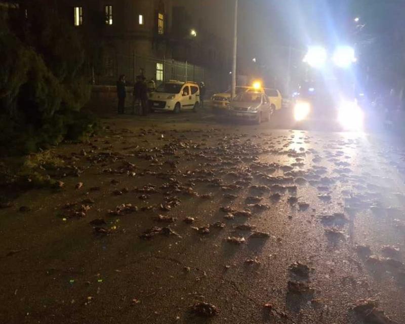 Bassanonet.it Botti per Capodanno: no grazie!