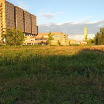 Bassanonet.it Parco della Resilienza
