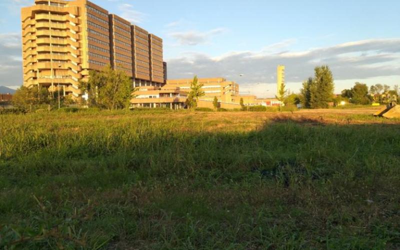 Bassanonet.it Parco della Resilienza