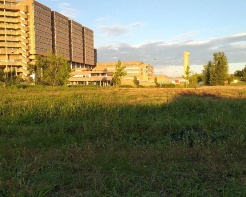 Bassanonet.it Parco della Resilienza