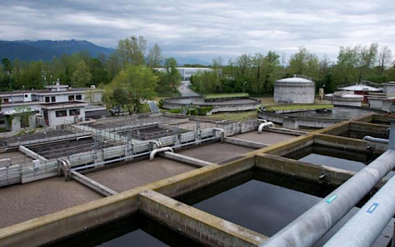 Bassanonet.it Omicron di Natale