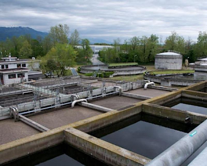 Bassanonet.it Omicron di Natale