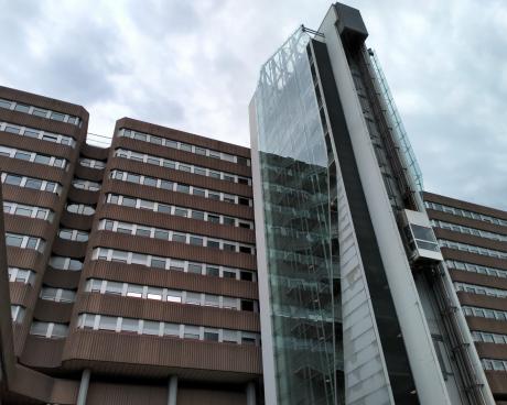 Bassanonet.it Firma restando