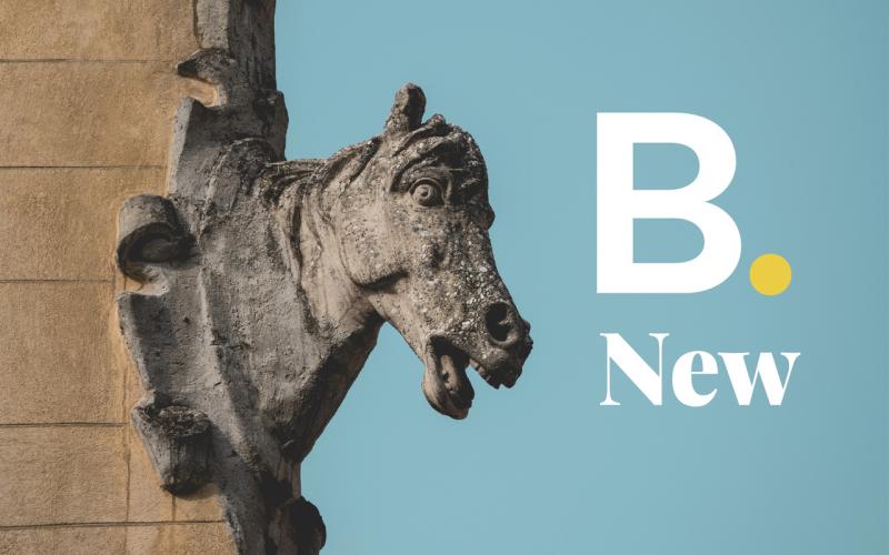 Bassanonet.it 22.02.2022