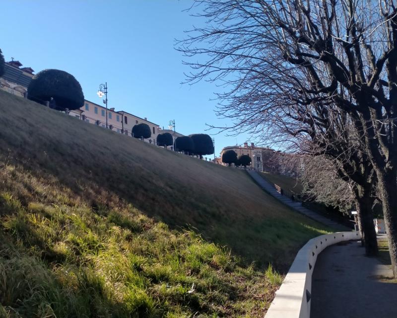 Bassanonet.it All’erta